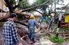 Heavy rains uproot huge tree near railway station